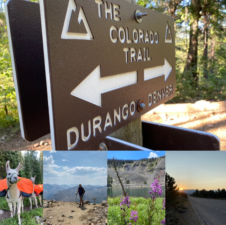 collage of 5 images including a llama, a lake, a sunrise, a sign that states The Colorado Trail, and a man on a trail with mountains in background