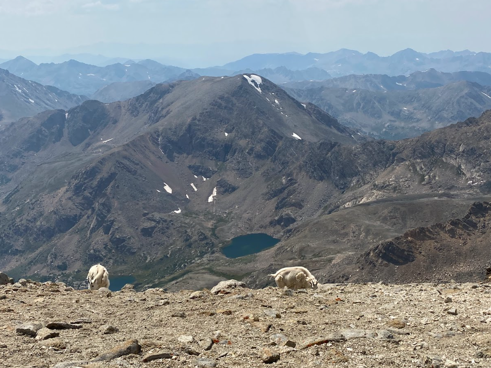 Screenshot 2026-01-13 100023.png