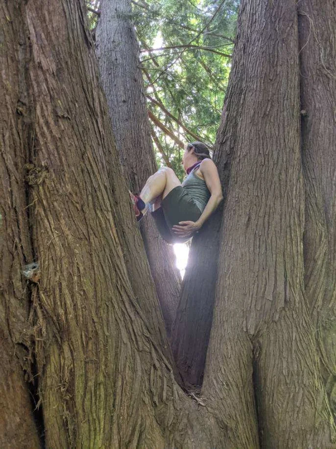 Sprite in tree 3.jpeg