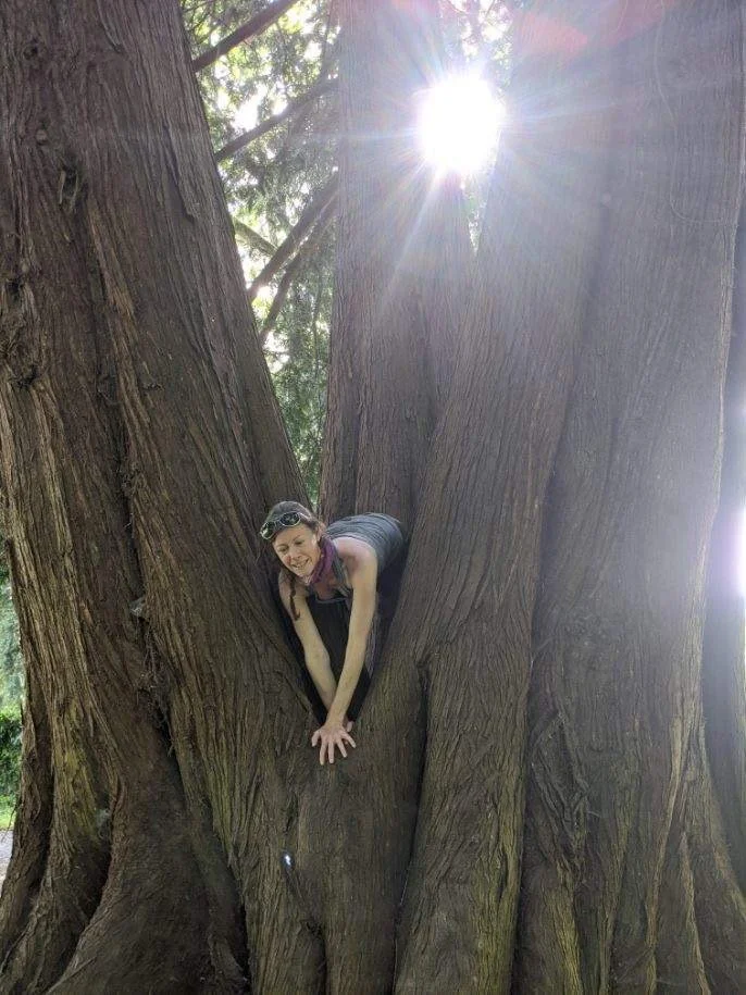 Sprite in tree 2.jpeg