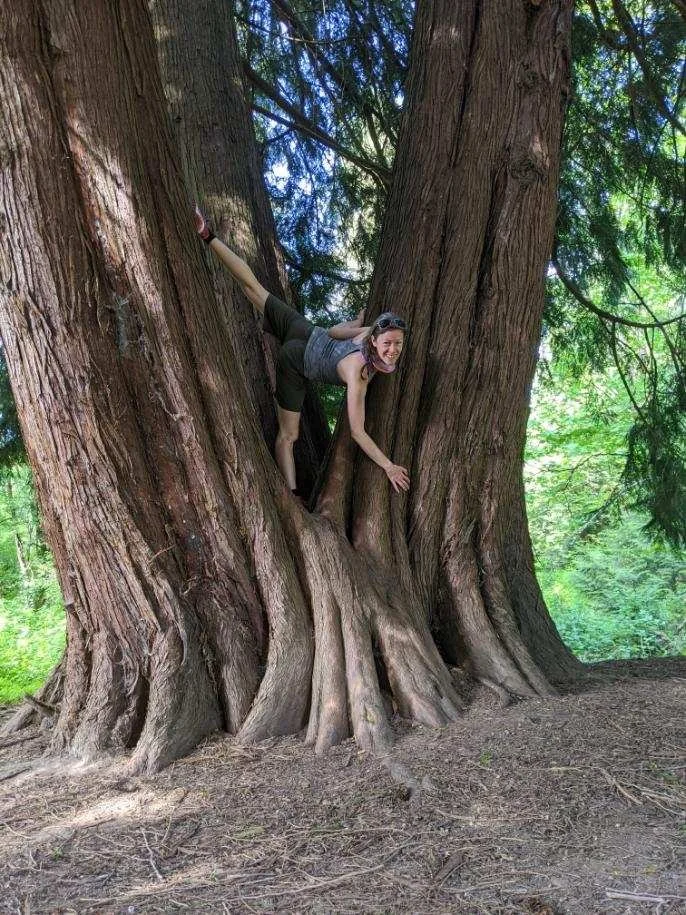 Sprite in tree 1.jpeg