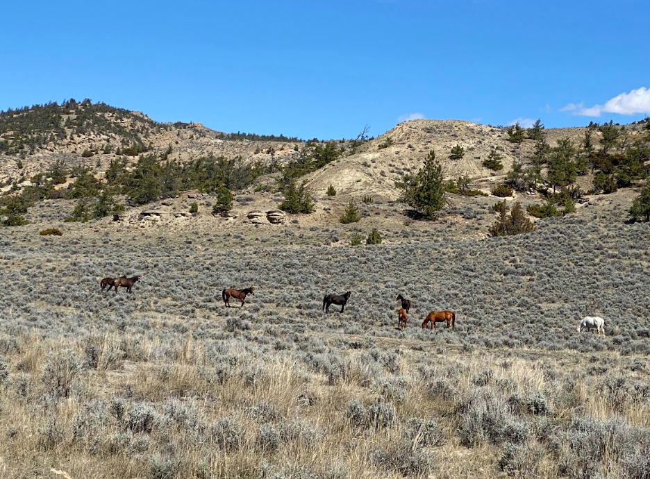 Screenshot 2026-04-05 192836.png