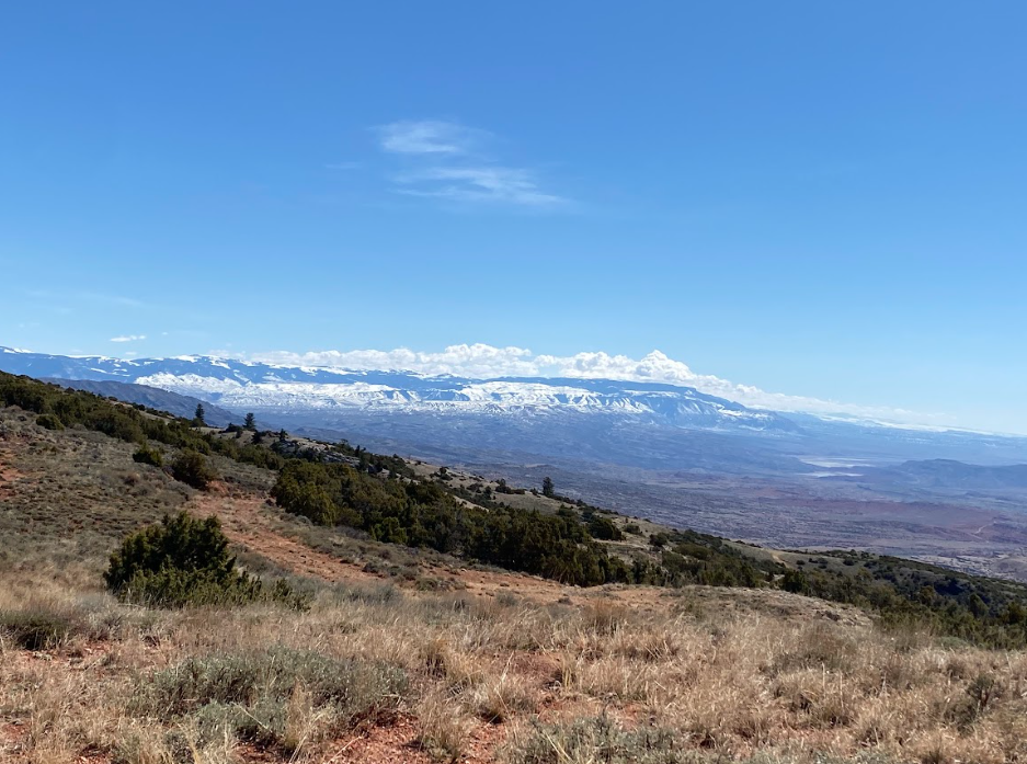 Screenshot 2026-04-05 193527.png