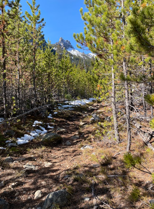 Screenshot 2026-04-11 202925.png