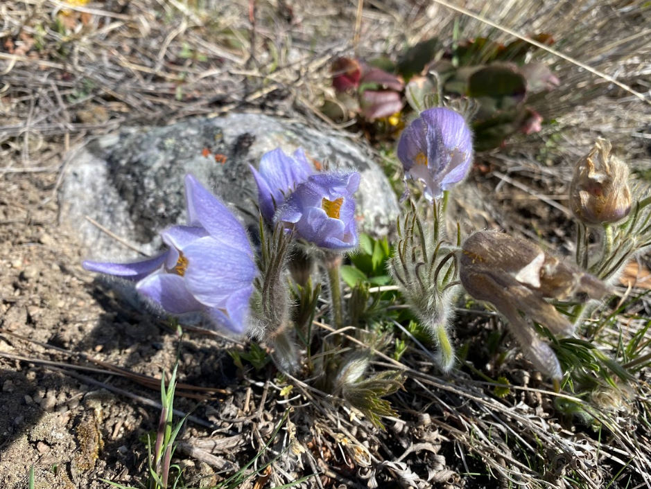 Screenshot 2026-04-11 202851.png