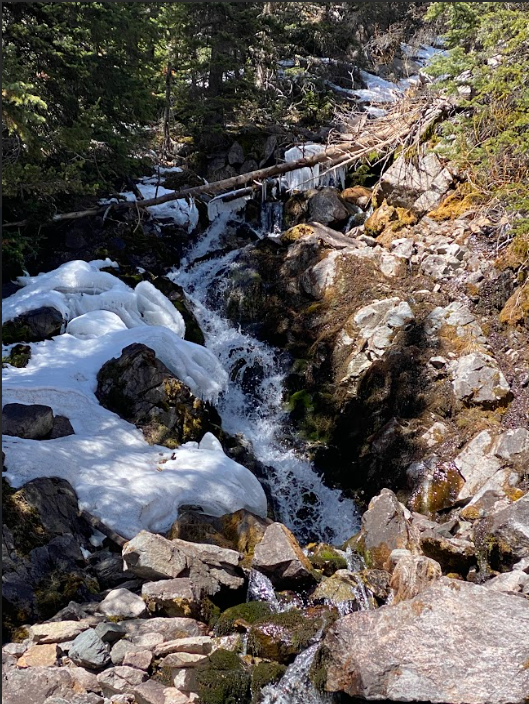 Screenshot 2026-04-11 202825.png