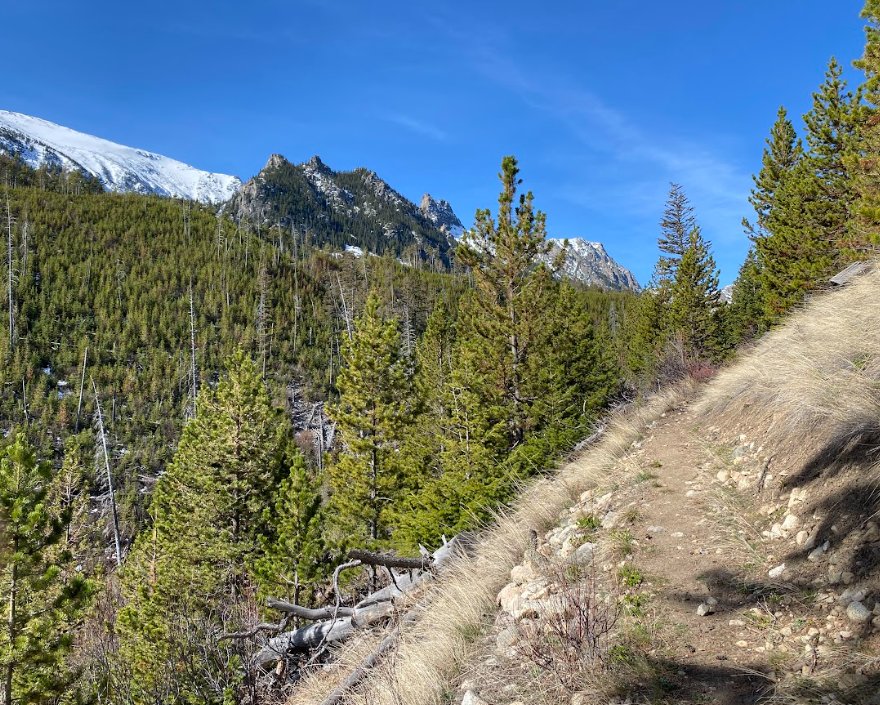 Screenshot 2026-04-11 202723.png