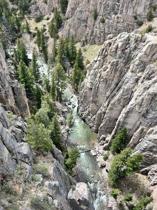 cliffs of spire-like rock on either side of a green creek and pine trees dotting the river bed