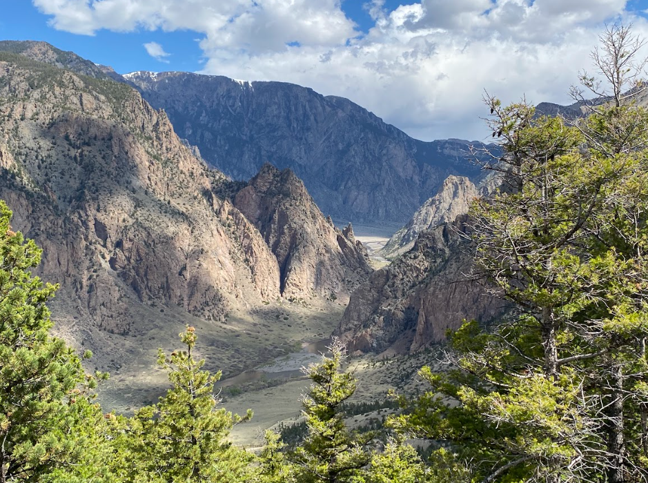looking down through pine trees into a narrow valley at a river that sits between rocky canyon walls