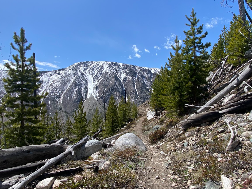 narrow trail between boulders, fallen tree trunks and pine trees with a classic mountain range views in the distance