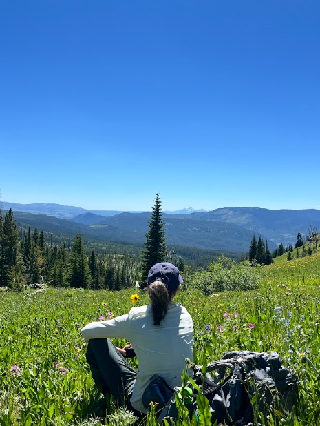 Hiker in white shirt and blue ball cap sits in a meadow of wildflowers taking in the view of distance hillsides