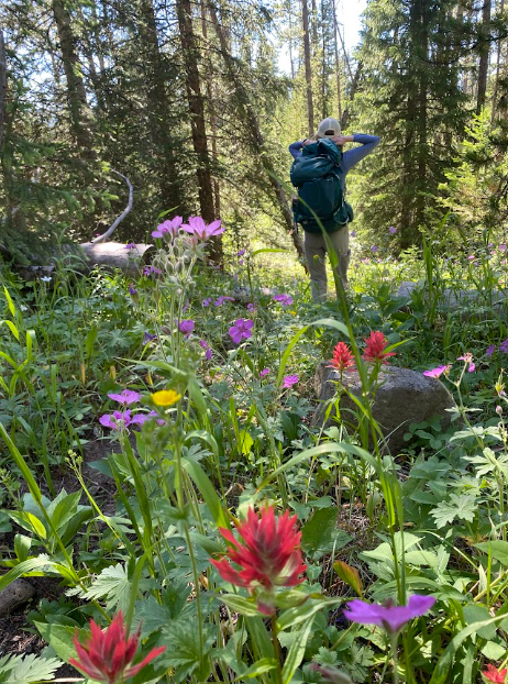 hiker walks through patch of overgrown wildflowers in a forest