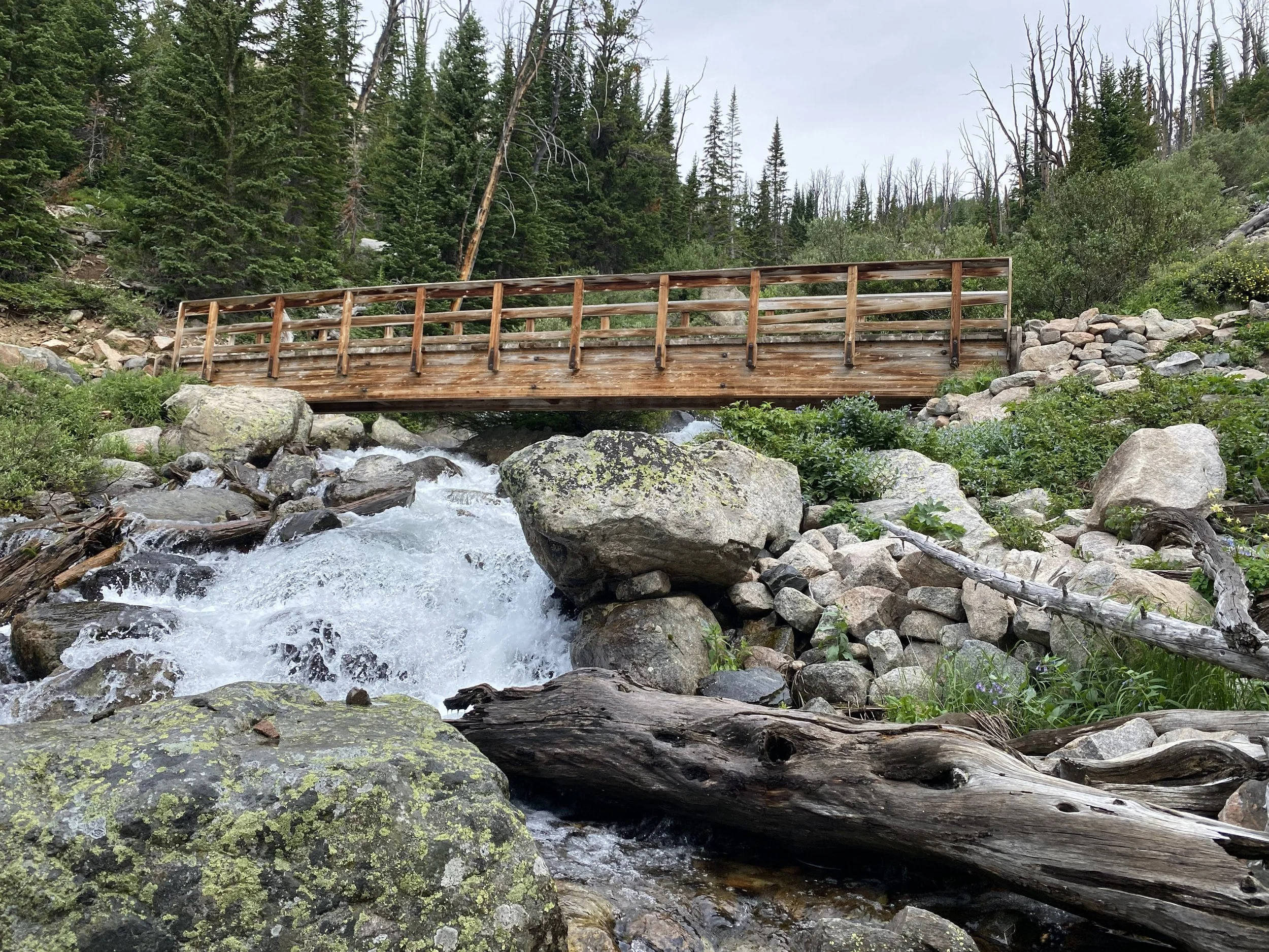 a wooden bridge over a raging waterfall with boulders strewn around the water and pine trees above the bridge