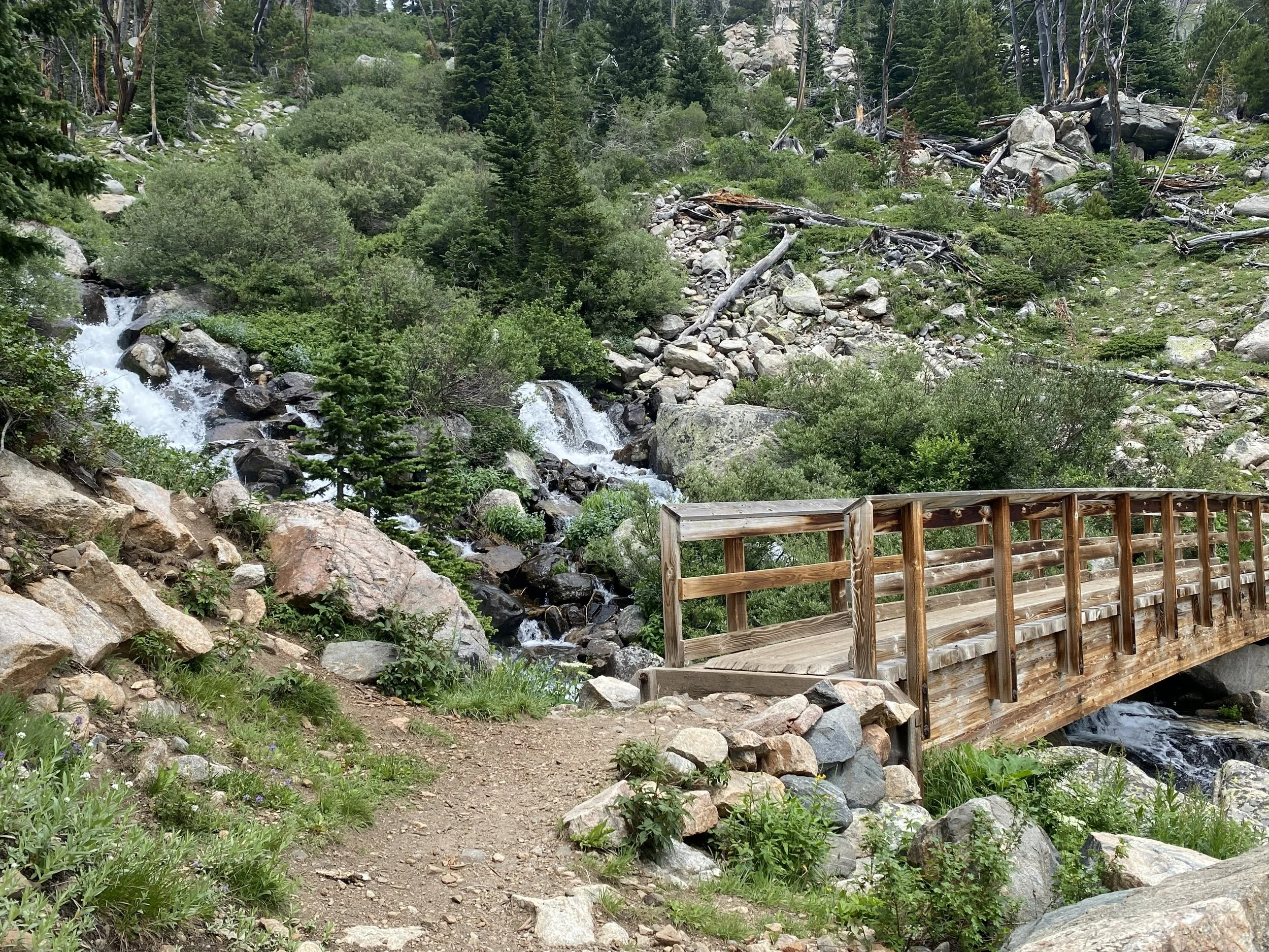 trail leads to a wooden bridge that sits downhill from a massive waterfall that runs between lush bushes and trees