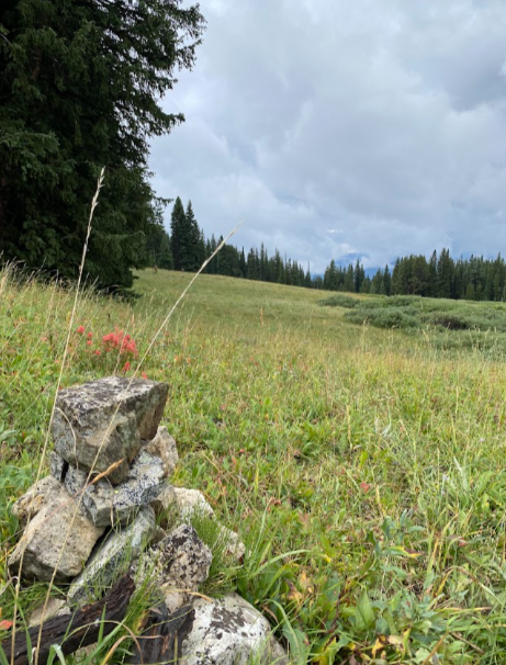 a cairn in a meadow with red Indian paintbrush flowers dotting the grass