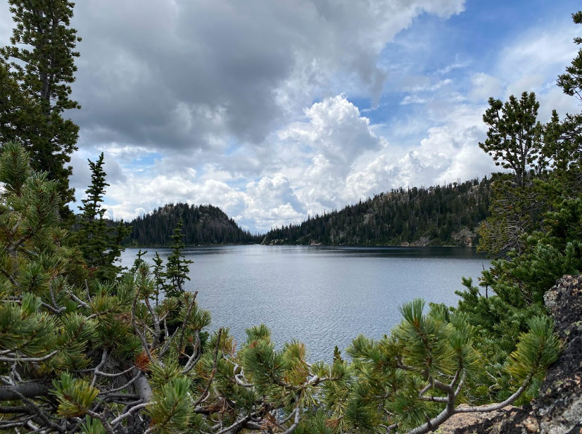 Peeking between pine branches a lake ripples calmly underneath a cloudy sky