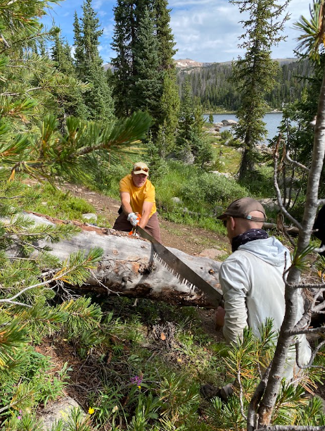 A man in an orange shirt pulls a long saw with sharp teeth across a log while another man in a grey shirt holds the opposite side handle