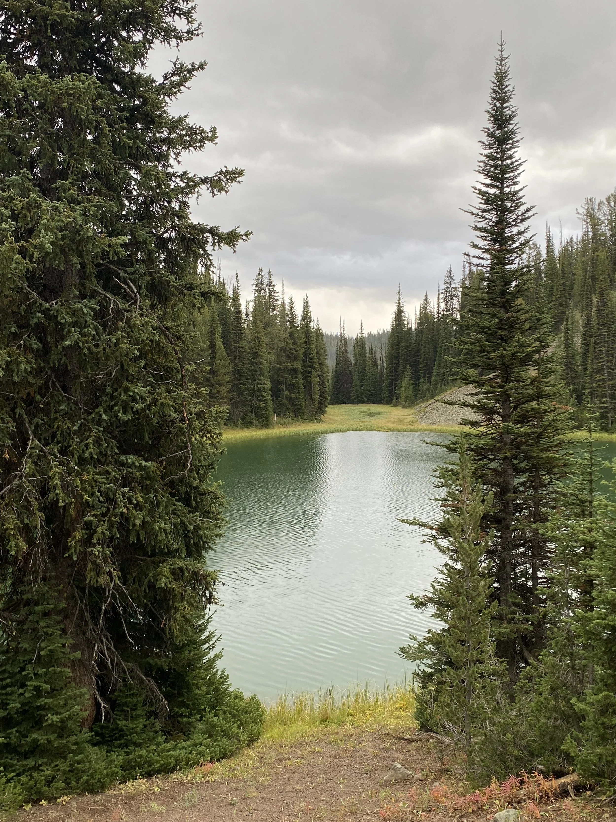 a small, green colored lake is flanked by evergreen trees