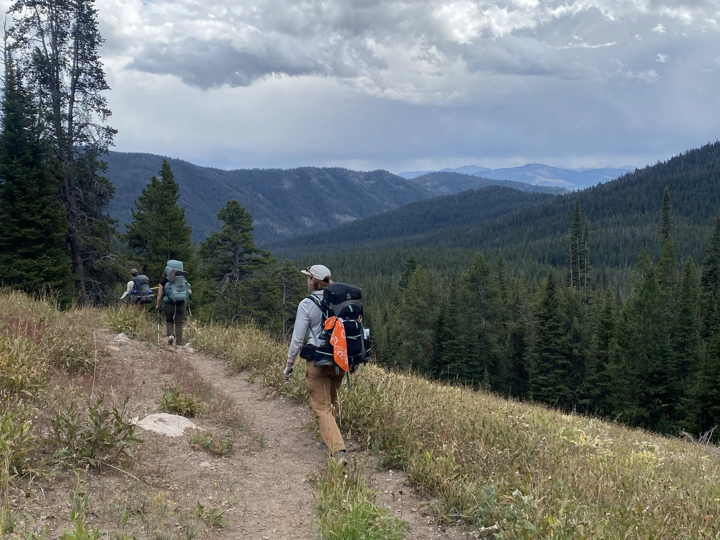 high speciman trail views.jpg