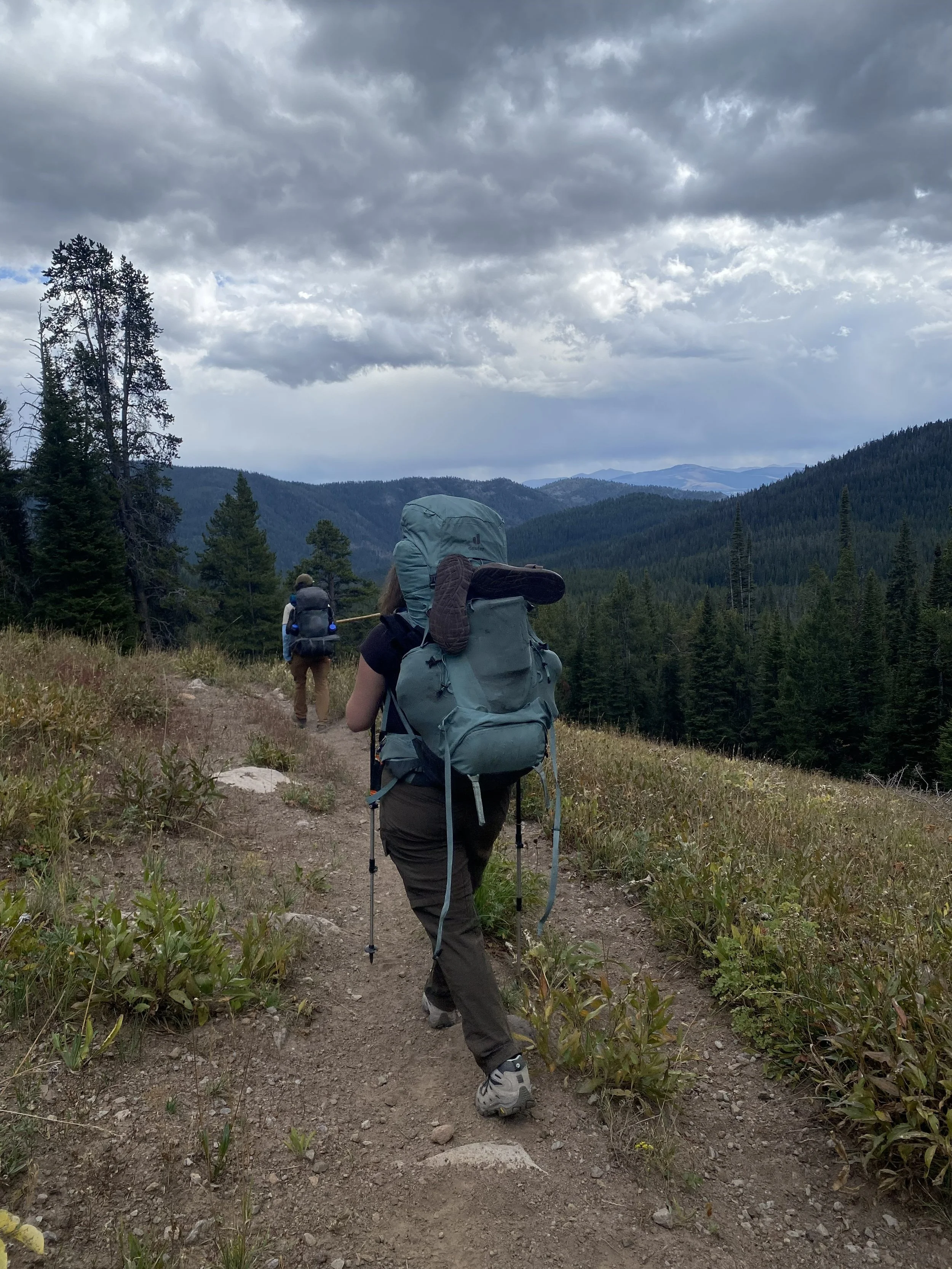 high speciman trail views_Jade.jpg