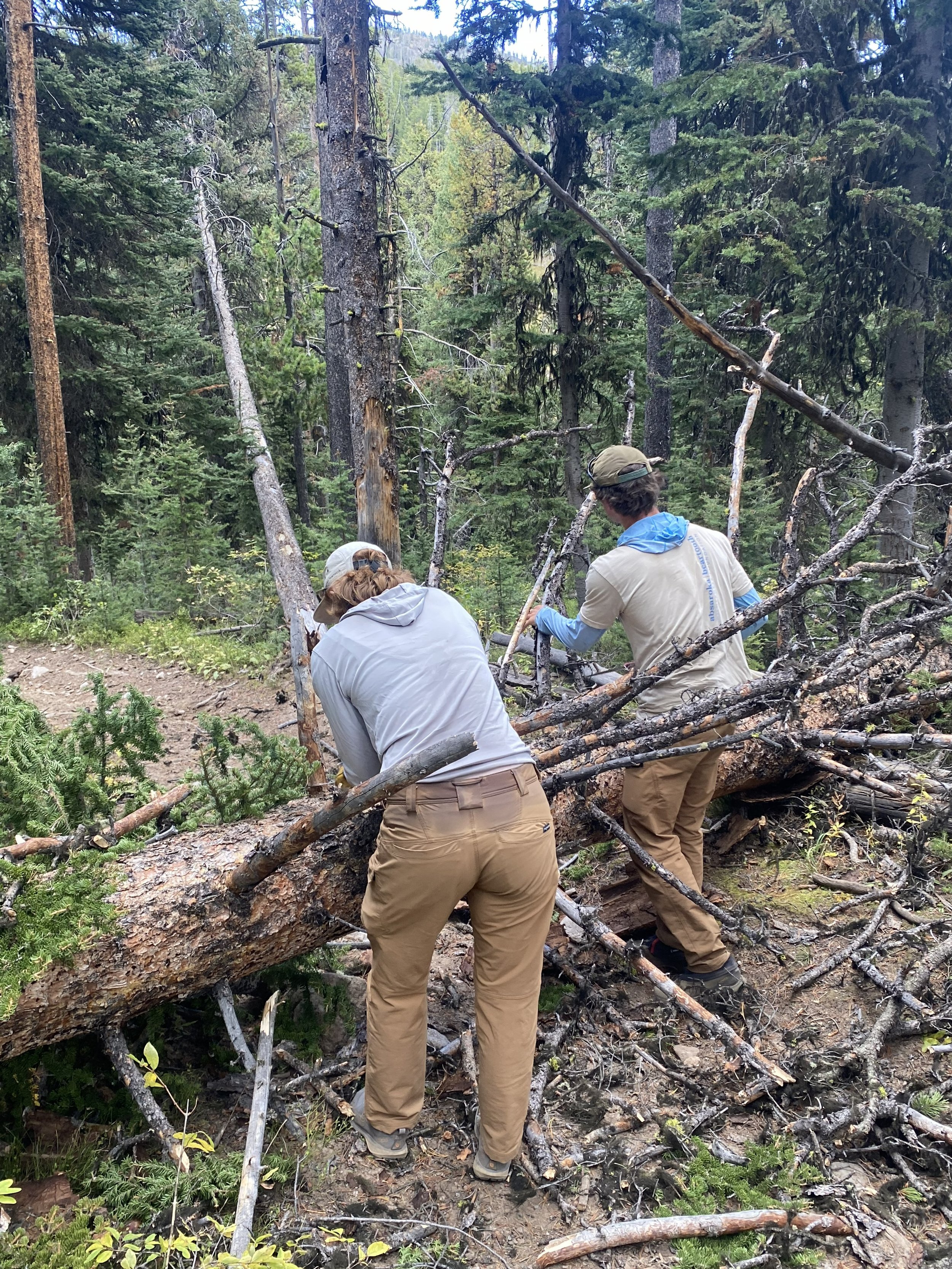 two adults in grey shirts chop branches off a fallen log that lies across a trail
