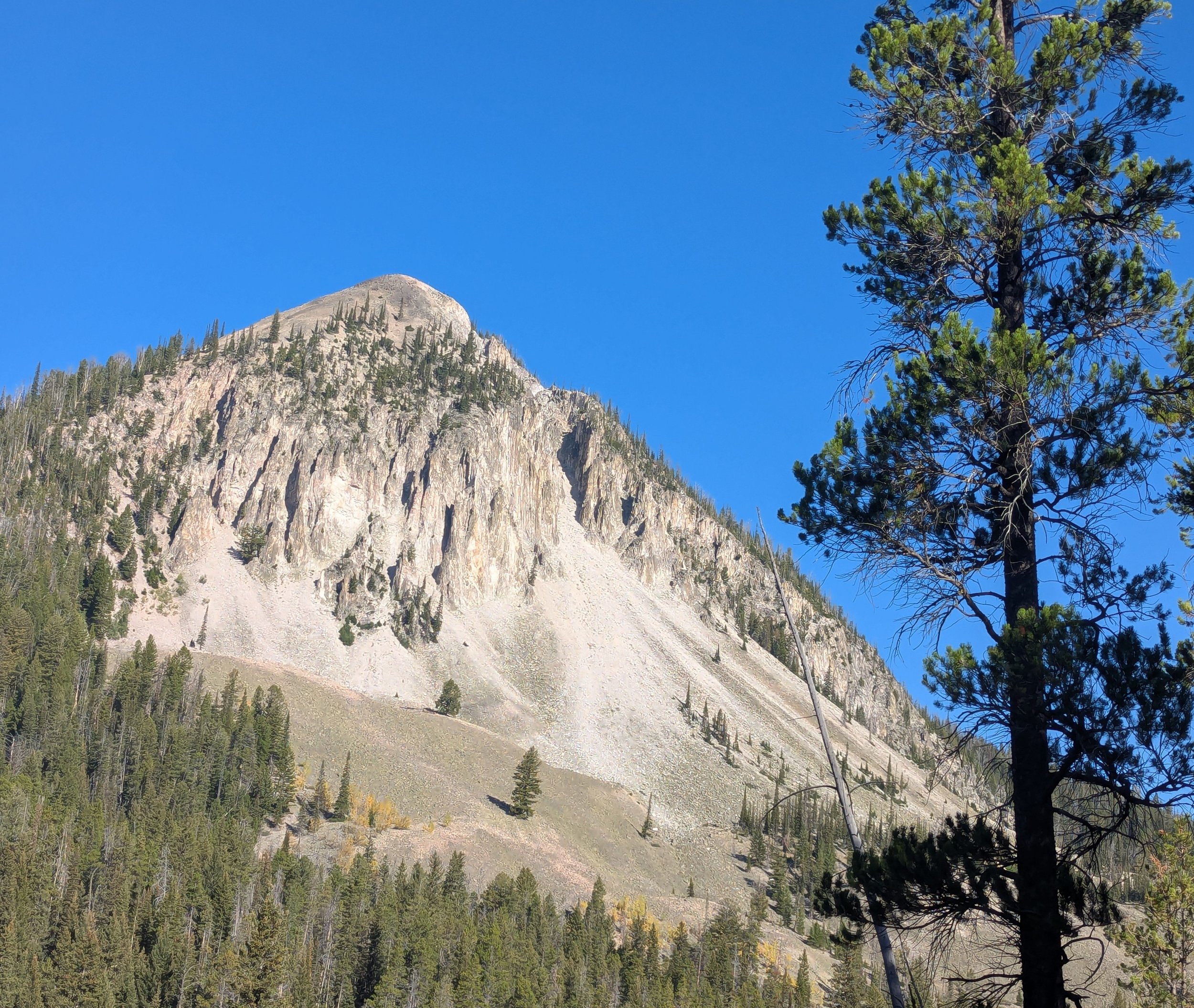 Ash Mountain.jpg