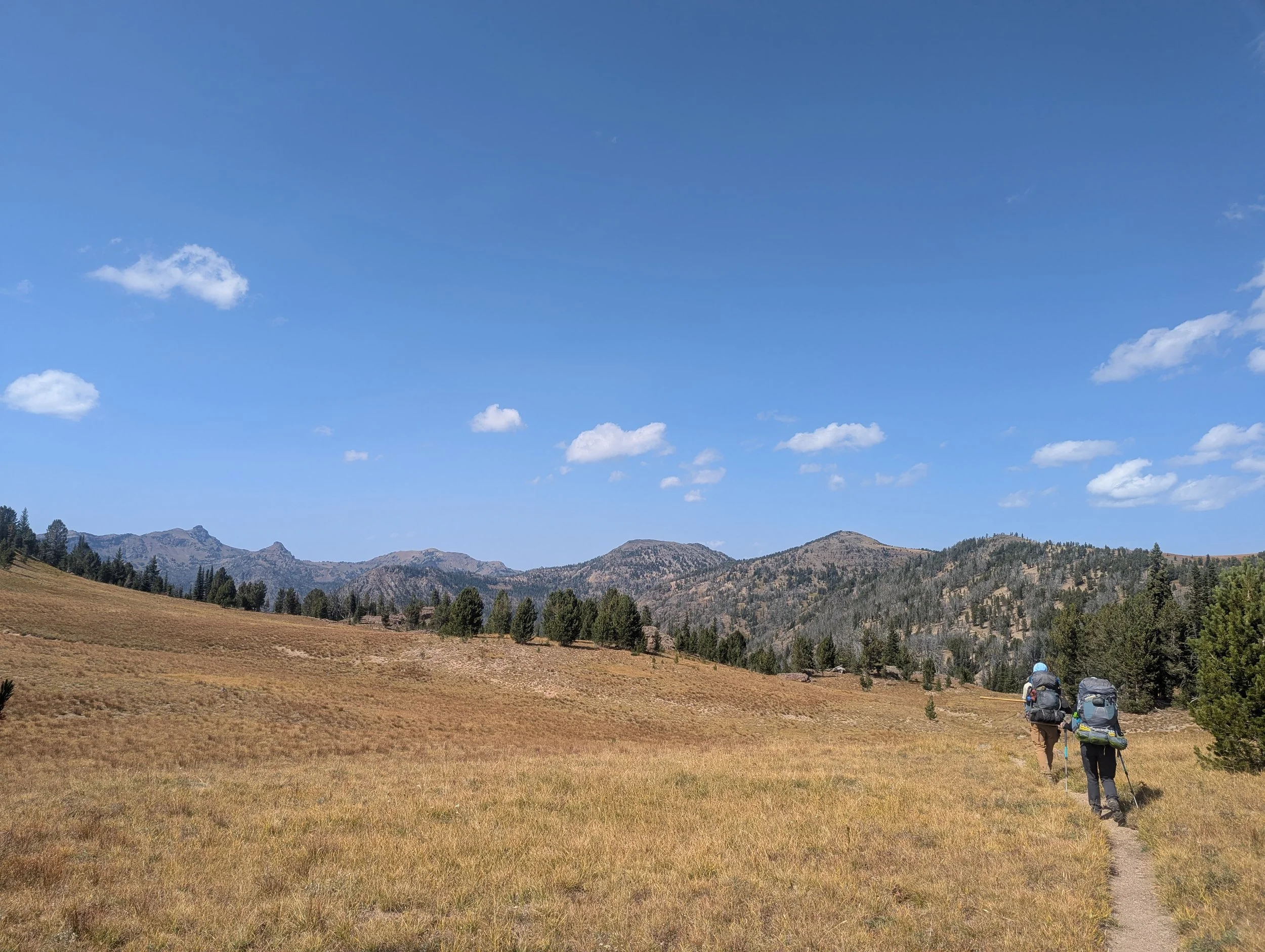 Ash mtn way.jpg