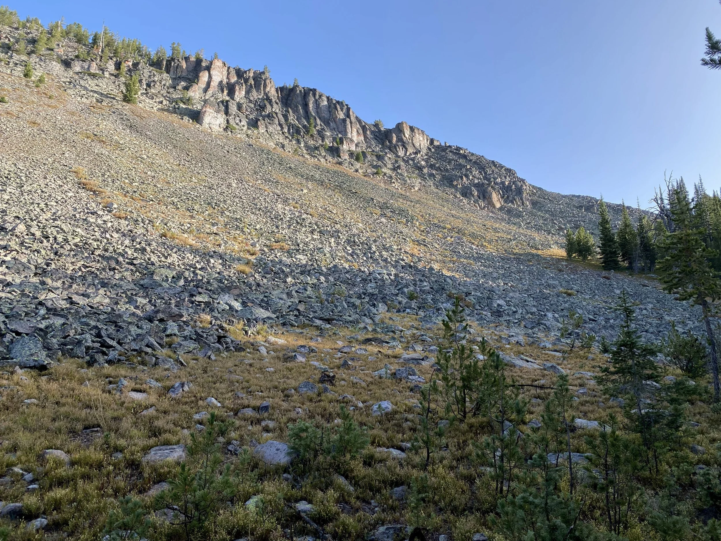 scree field above Fawn Lake.jpg