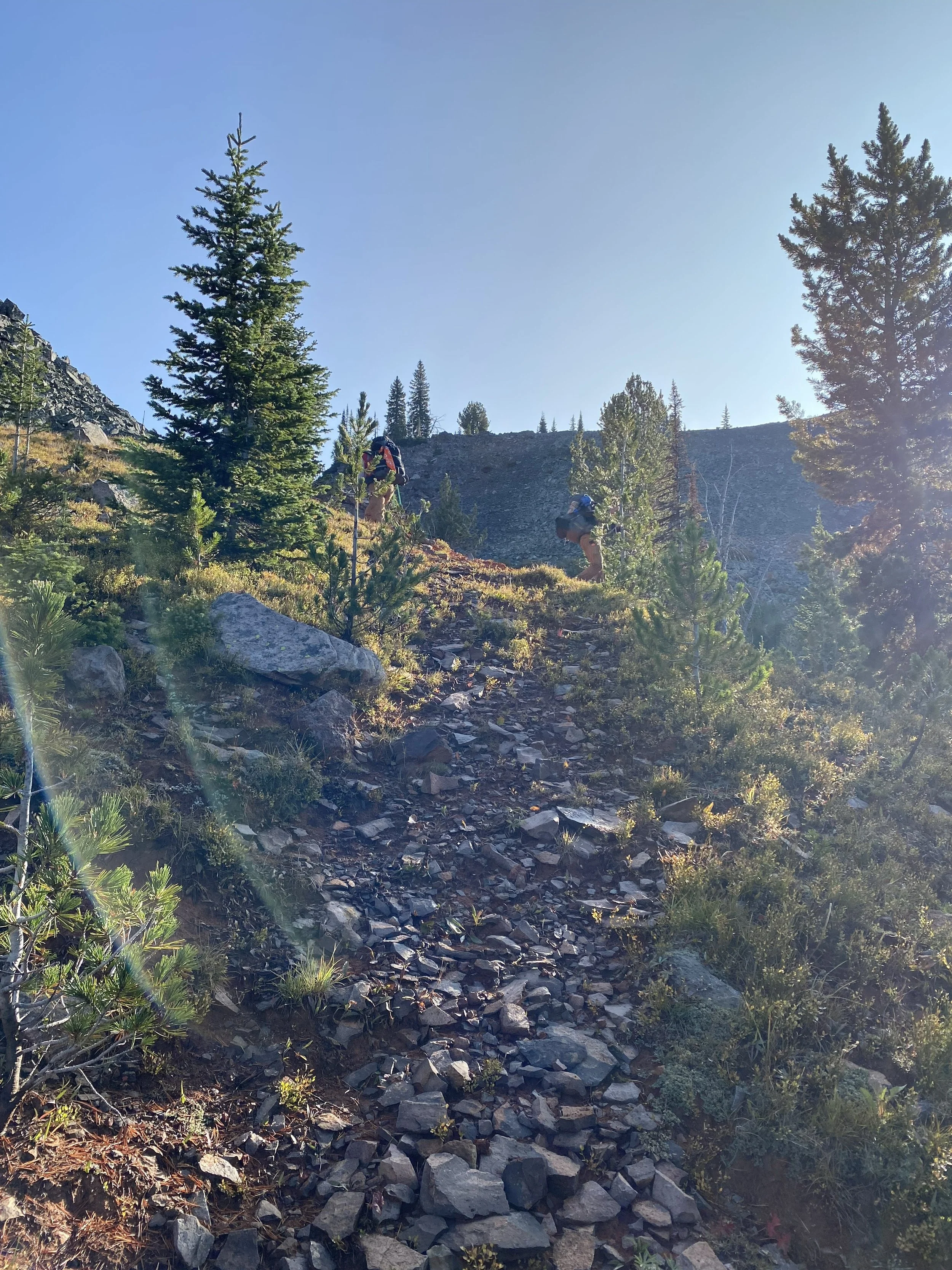 day 2 towards Ash mtn climb.jpg