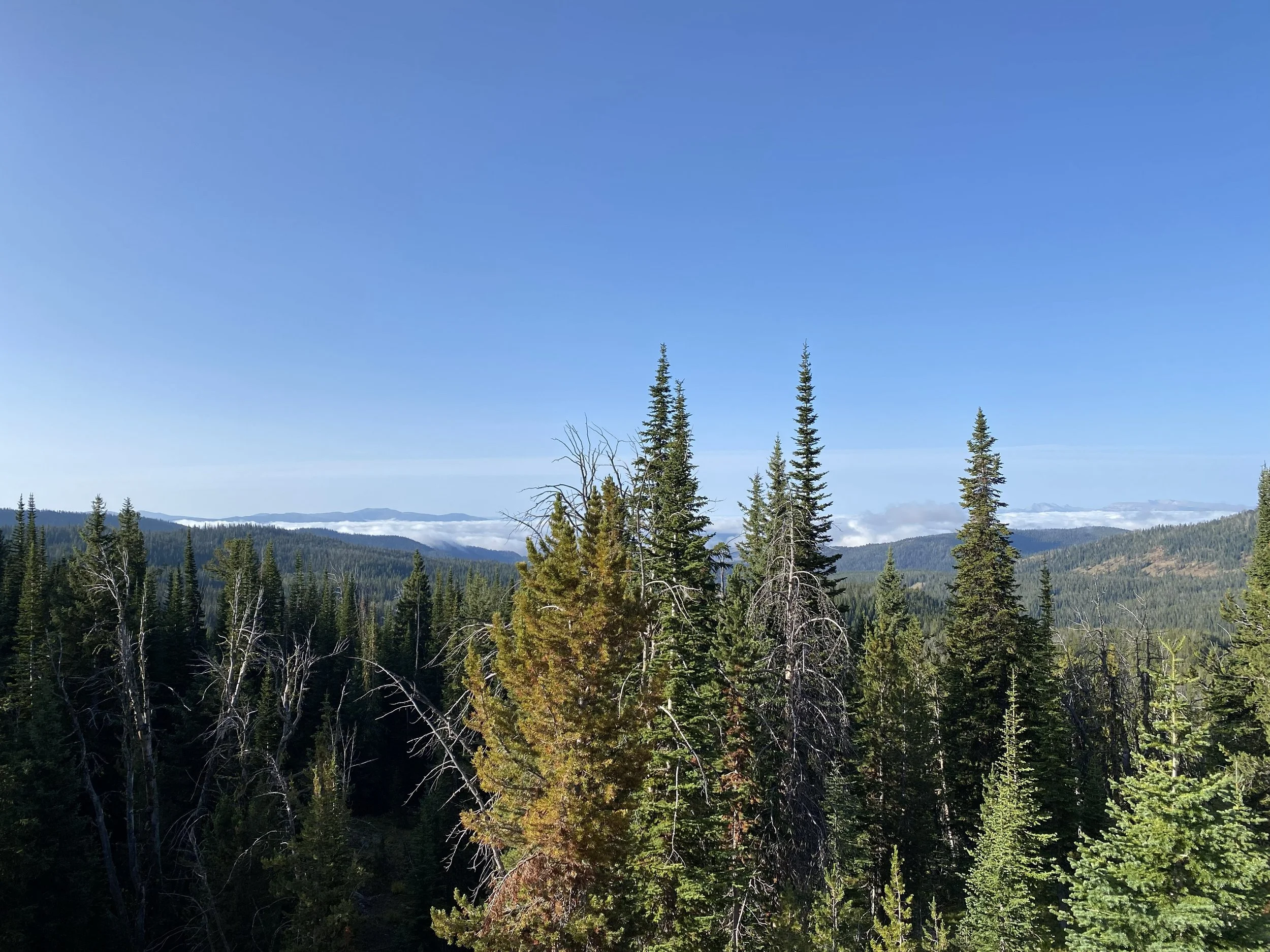 inversion.jpg