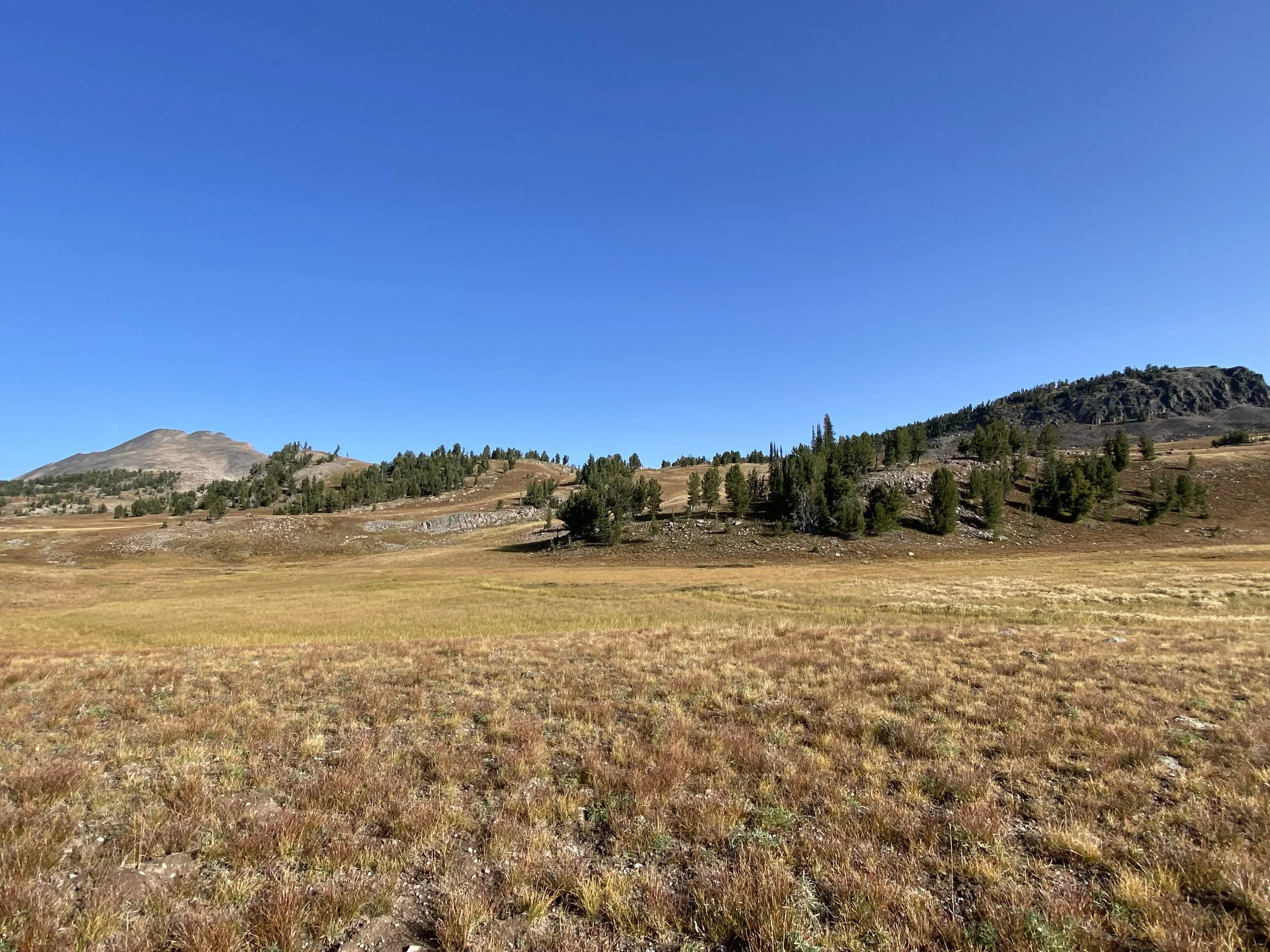 plateau of high point.jpg