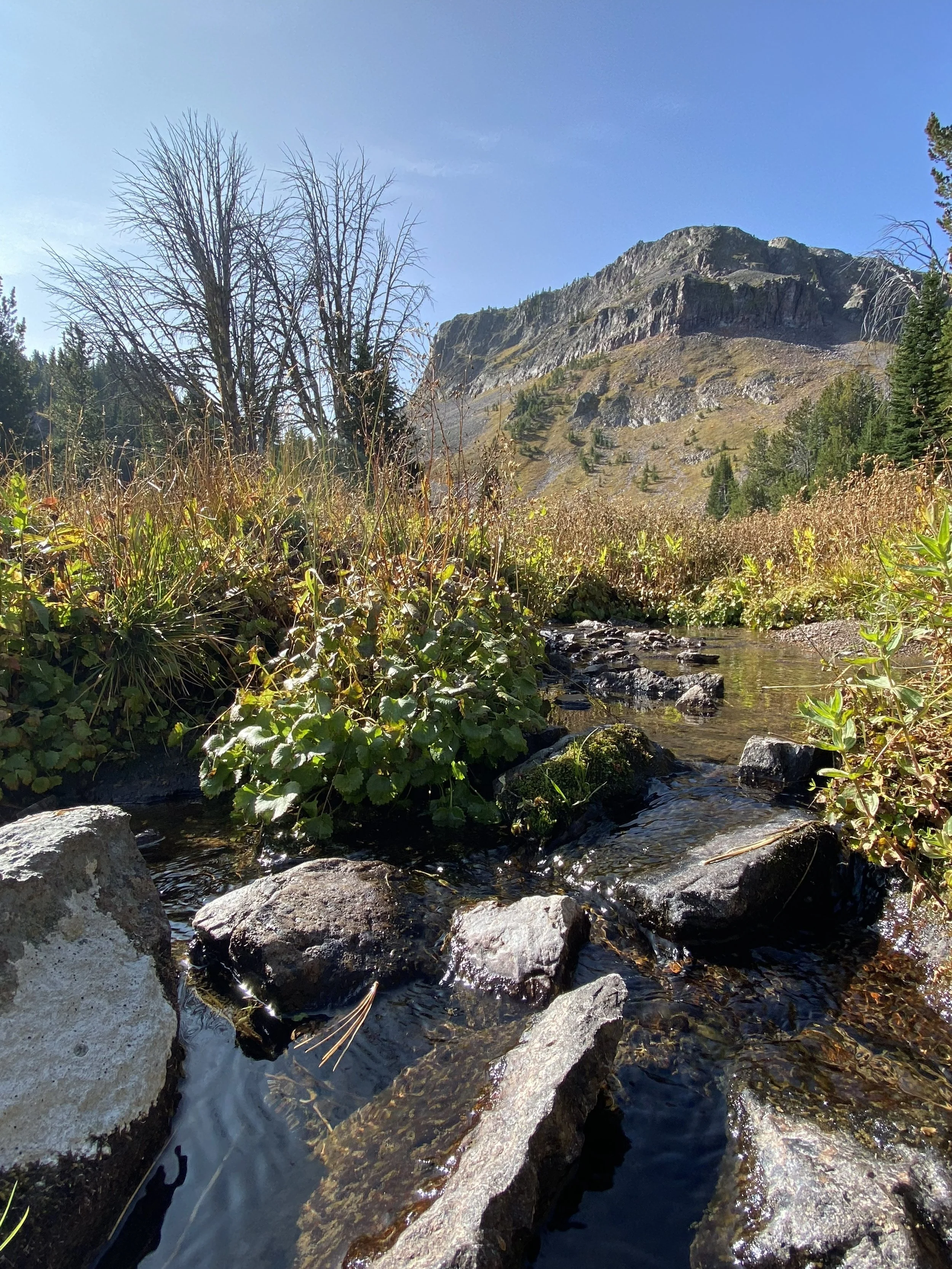 IMG_8968.jpg