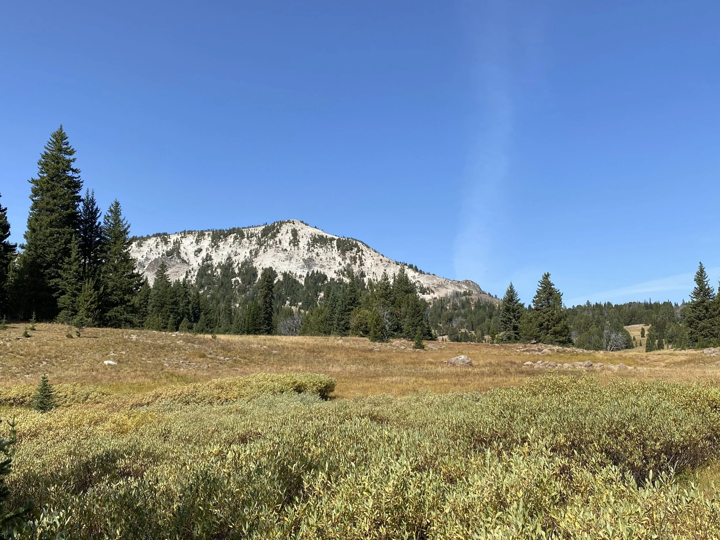 IMG_8969.jpg
