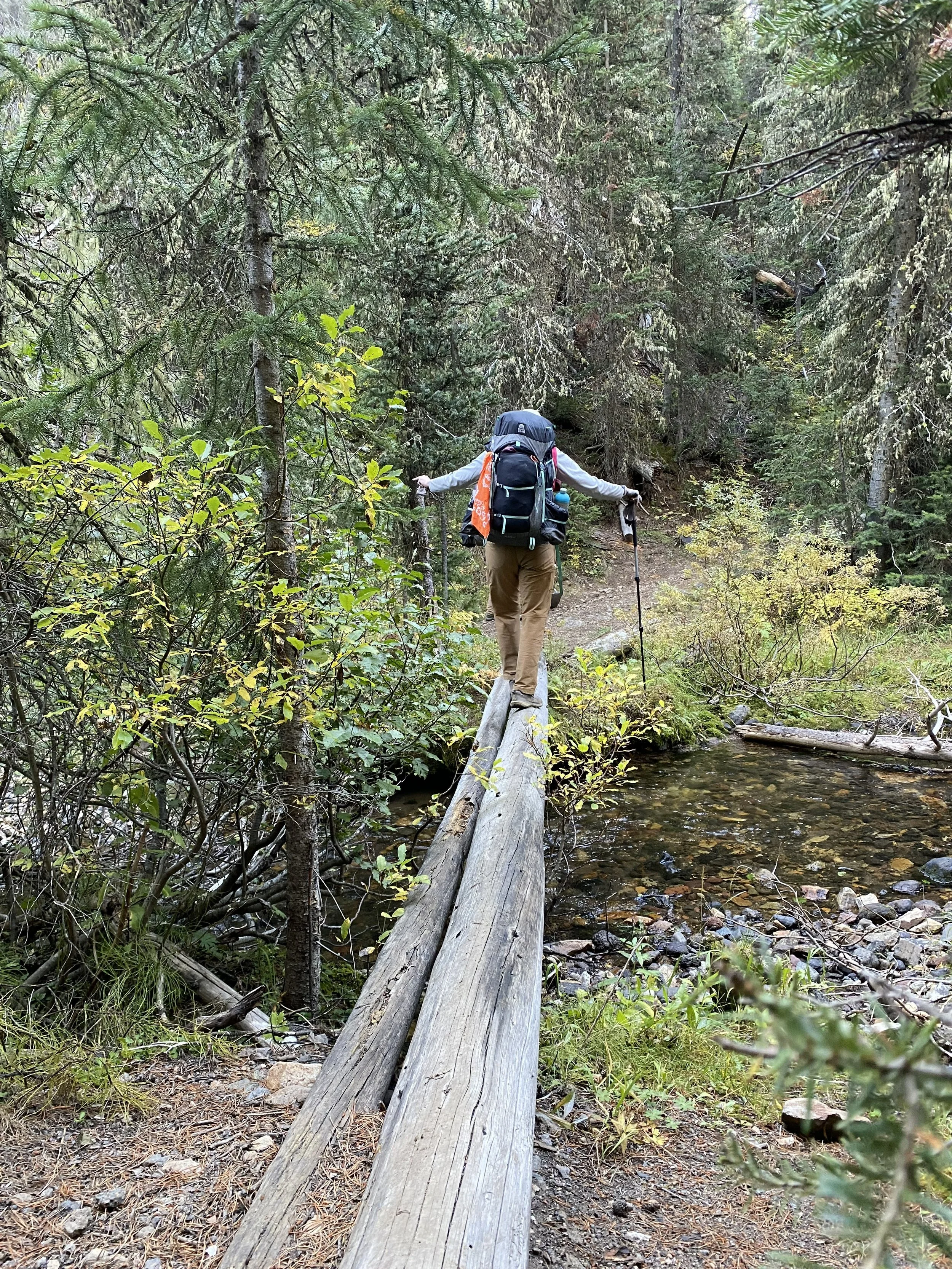 a hiker extends both arms for balance while walking across a log above a creek