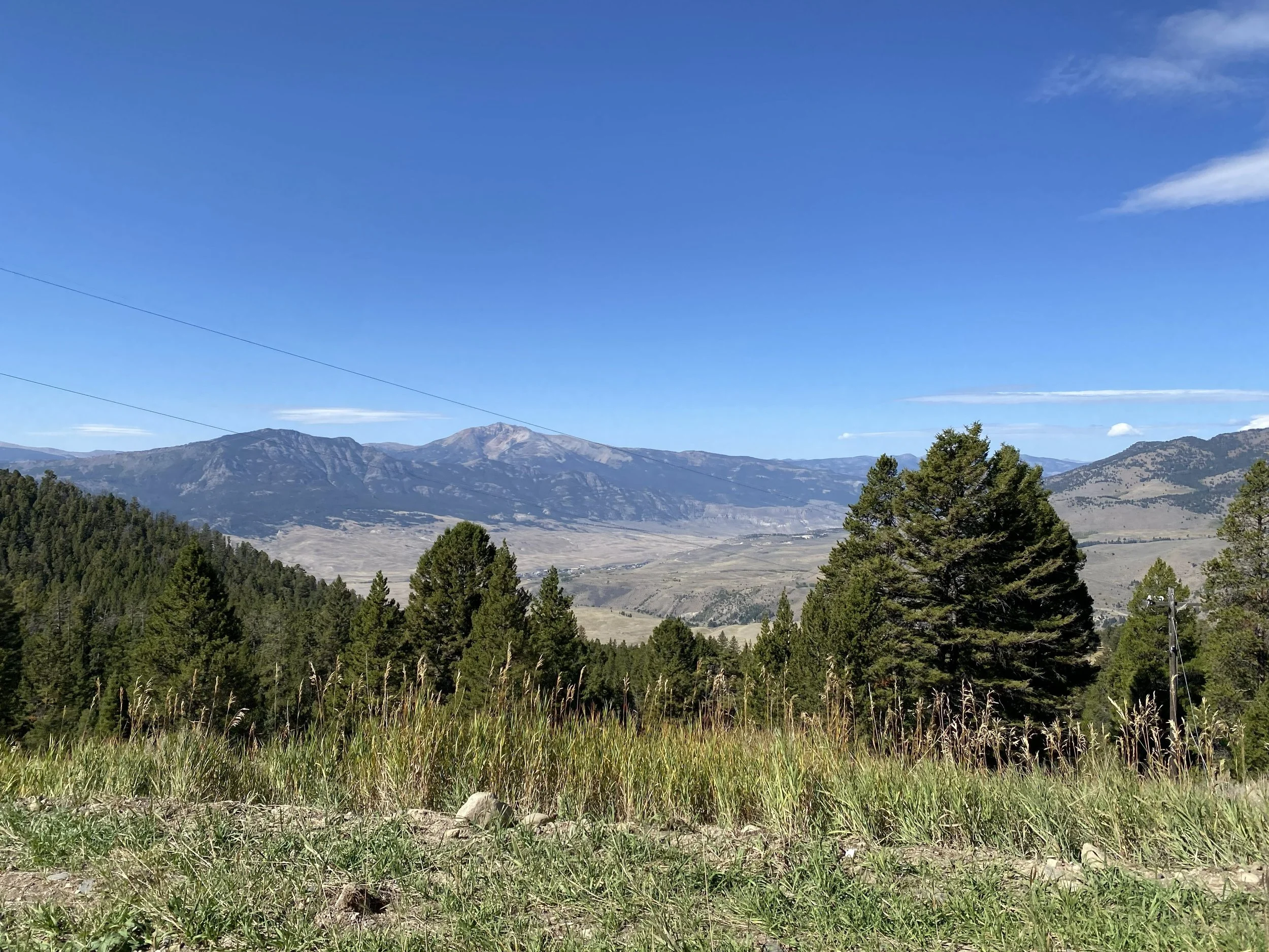 IMG_9020.jpg