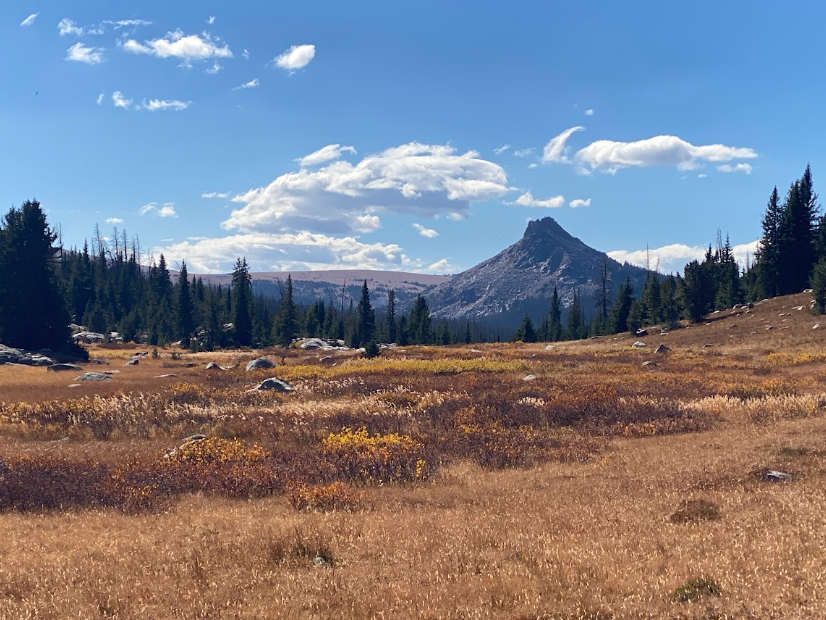 dry grass with tinges of yellow across a meadow lead to a triangle shaped mountain