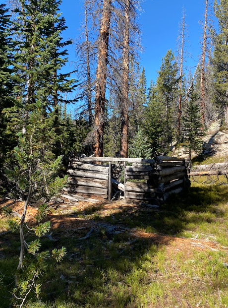 an old log cabin without a roof has a tree growing in the middle