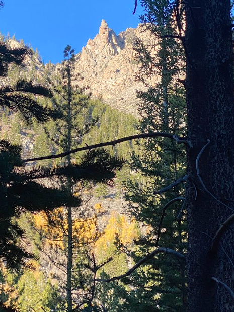 fall color dots a hillside beneath a sharp pointy peak
