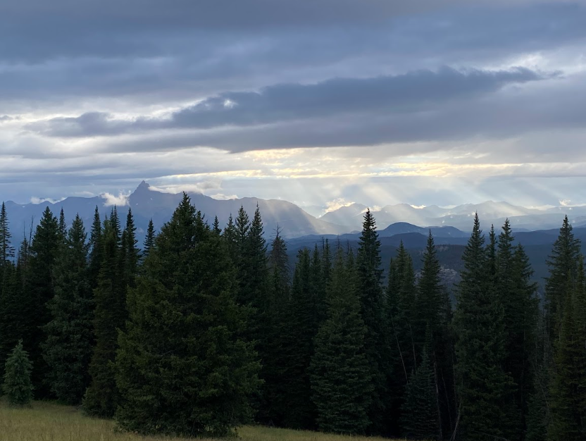 sunrays streak down from dark blue clouds to cover a mountain range in shadow. Full pine trees are in the foreground providing a vivid green base to the blue drama of the skies.