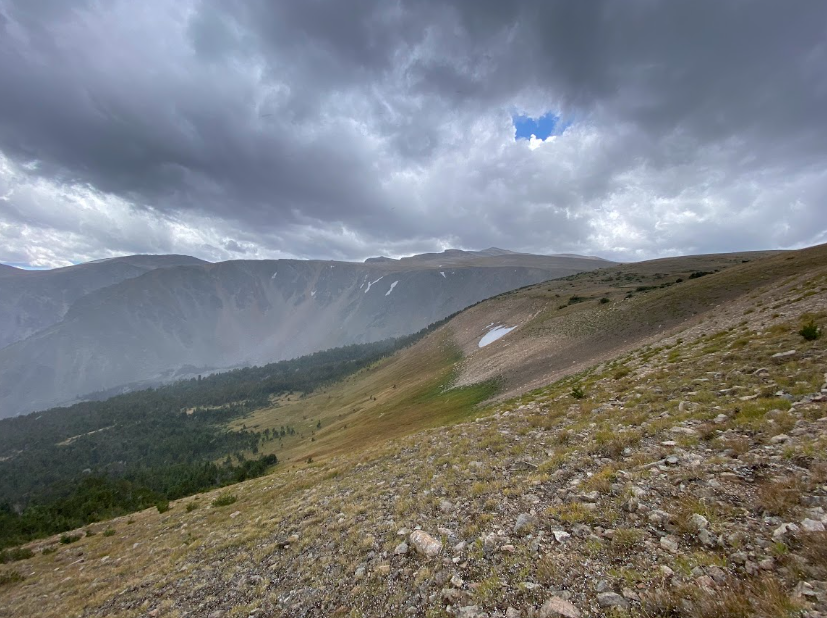 dark grey clouds threaten snow over a hillside of short grass and scrubby trees with distant mountains showing patches of snow
