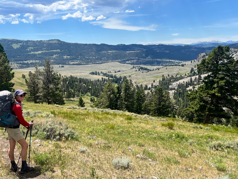 hiker with large backpack stands on left side to admire a vast landscape of dry grass and a line of evergreen trees