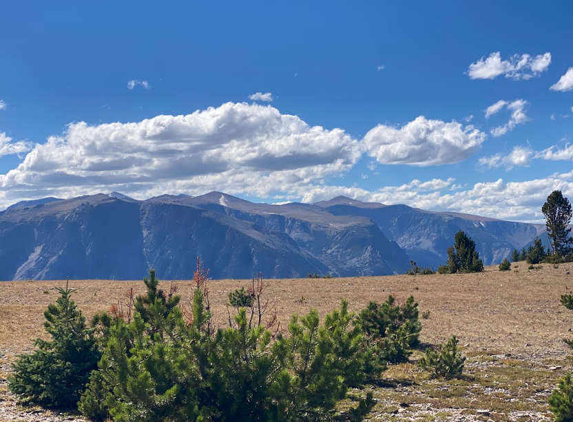 blue skies create a bright backdrop for granite mountains as seen from a prairie like plateau