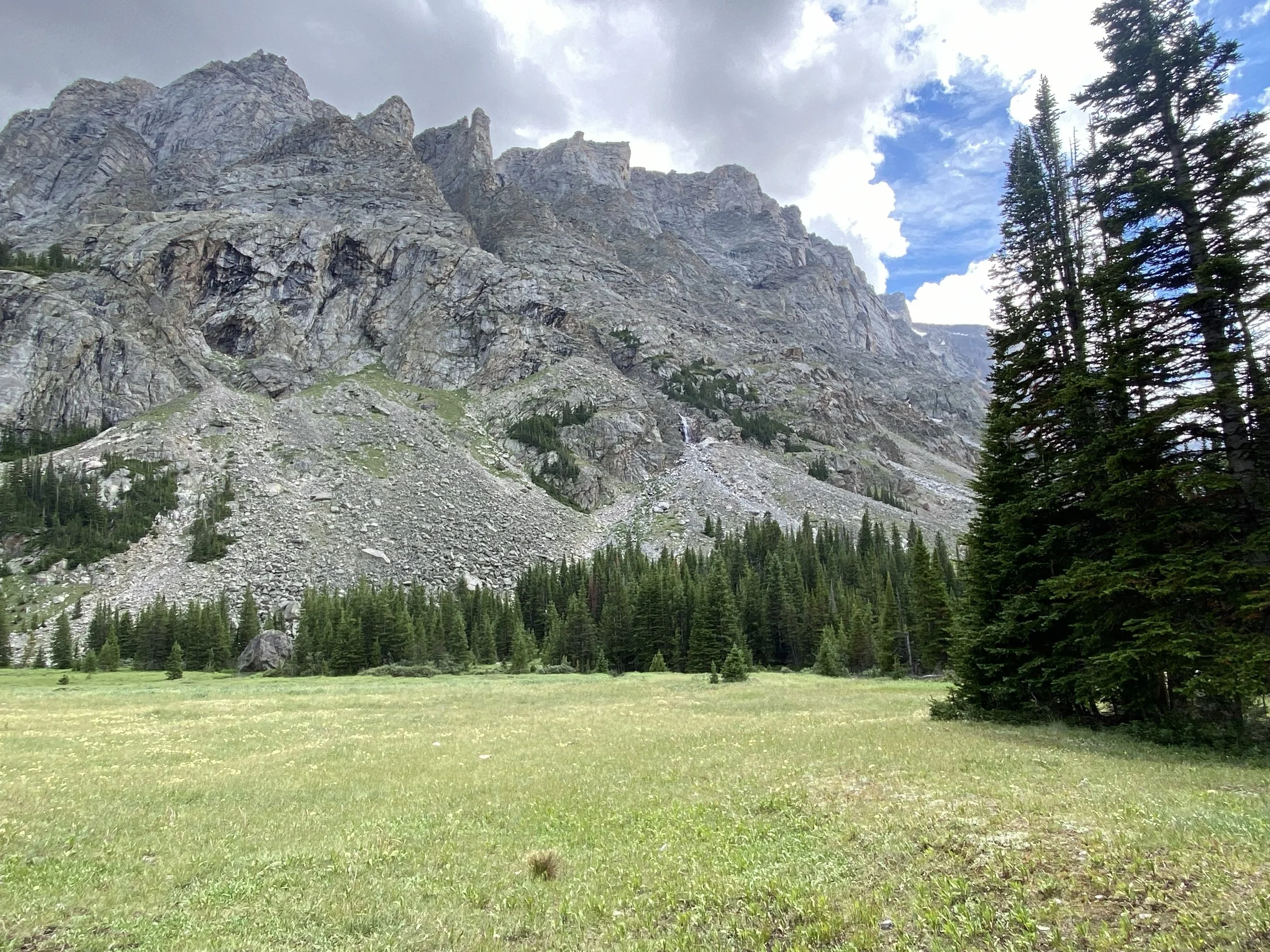 rocky outcropping overlooks a green meadow that holds dispersed evergreen trees