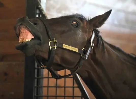 Create environments…