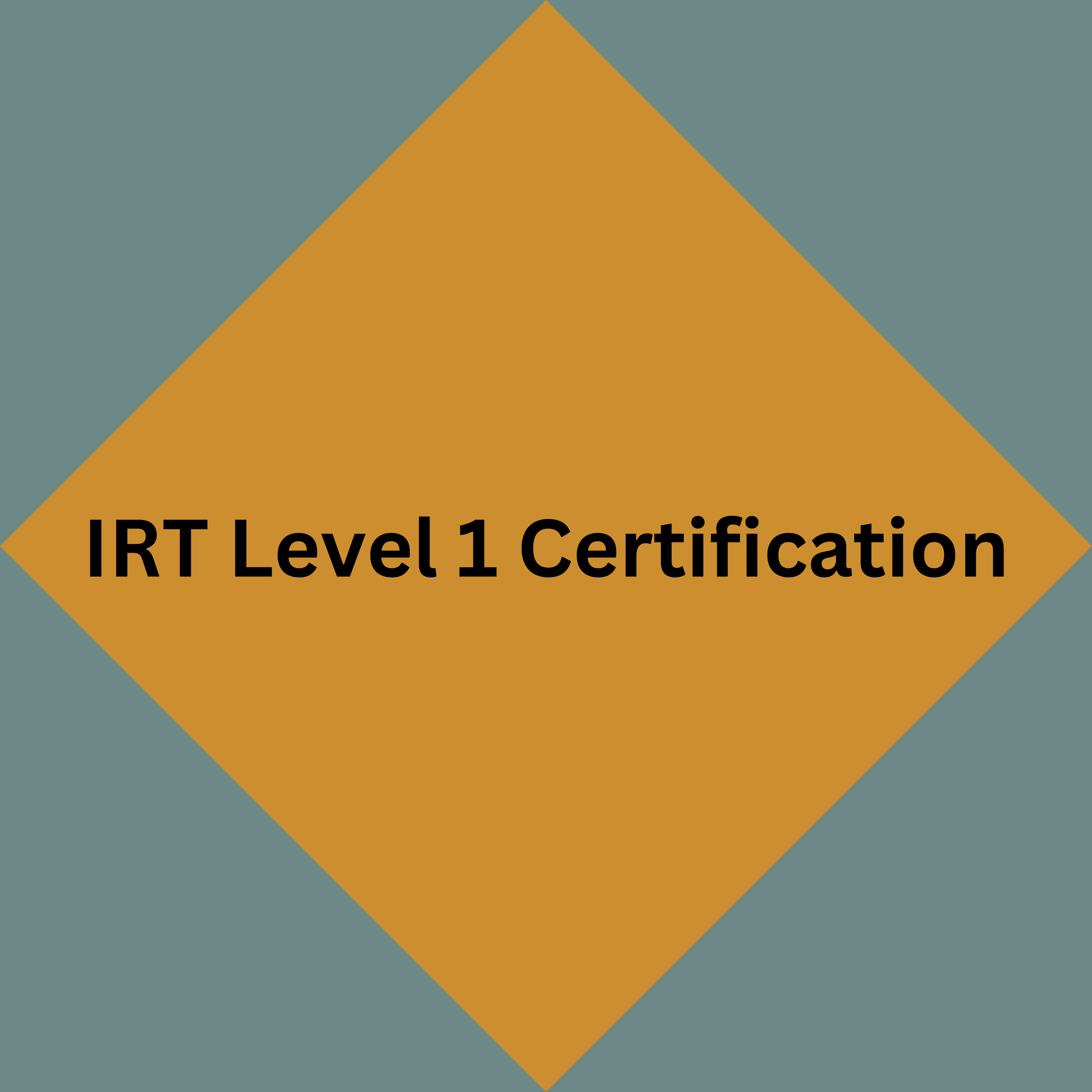 IRT Level 1 Icon.png