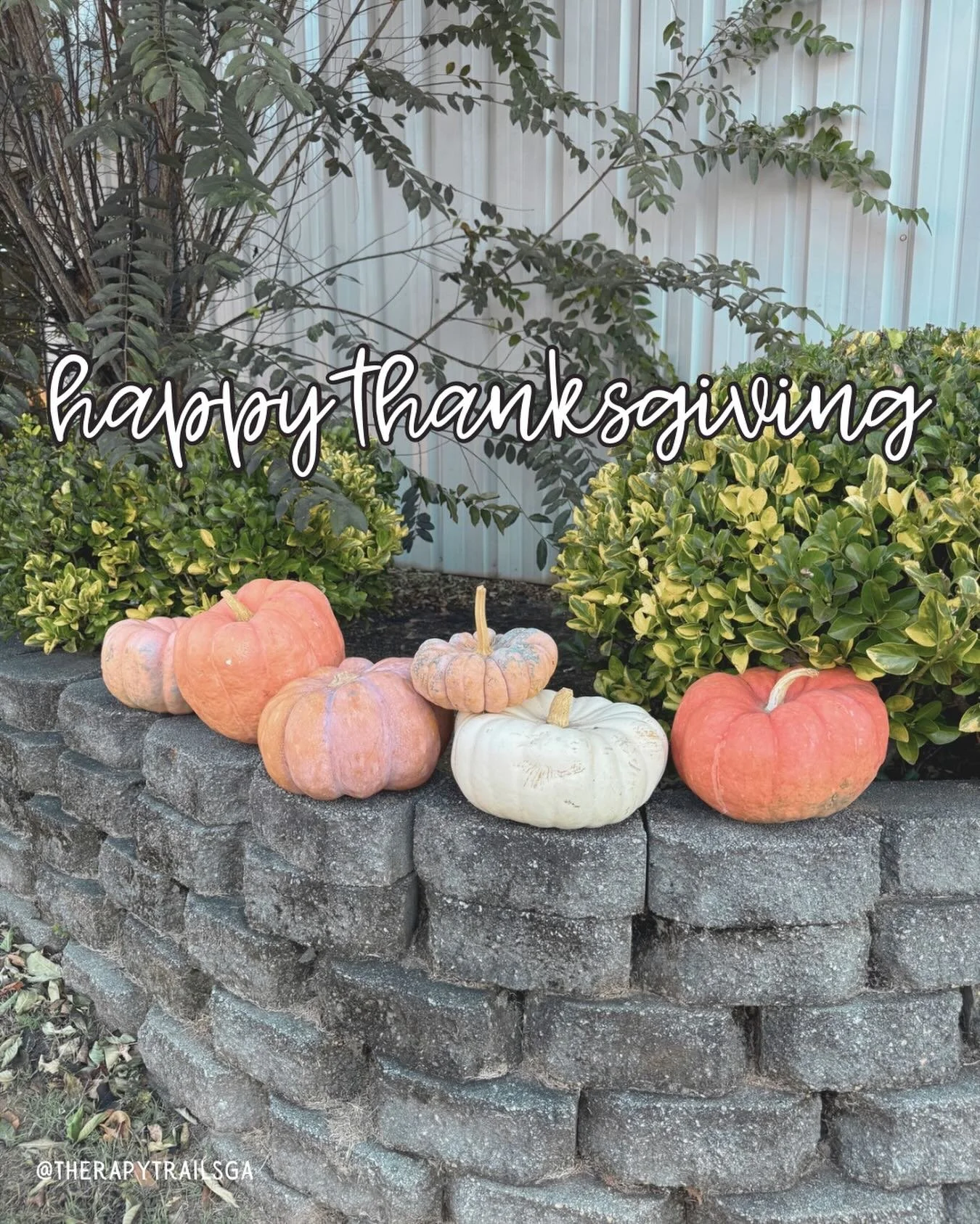 Happy Thanksgiving to our family and friends 🧡🤎 We are #thankful and #blessed to know you and have the opportunity to work with you. You are the reason we smile! May you have a #HappyThanksgiving! 🍂

Augusta | Business | Pediatric Therapy | Speech