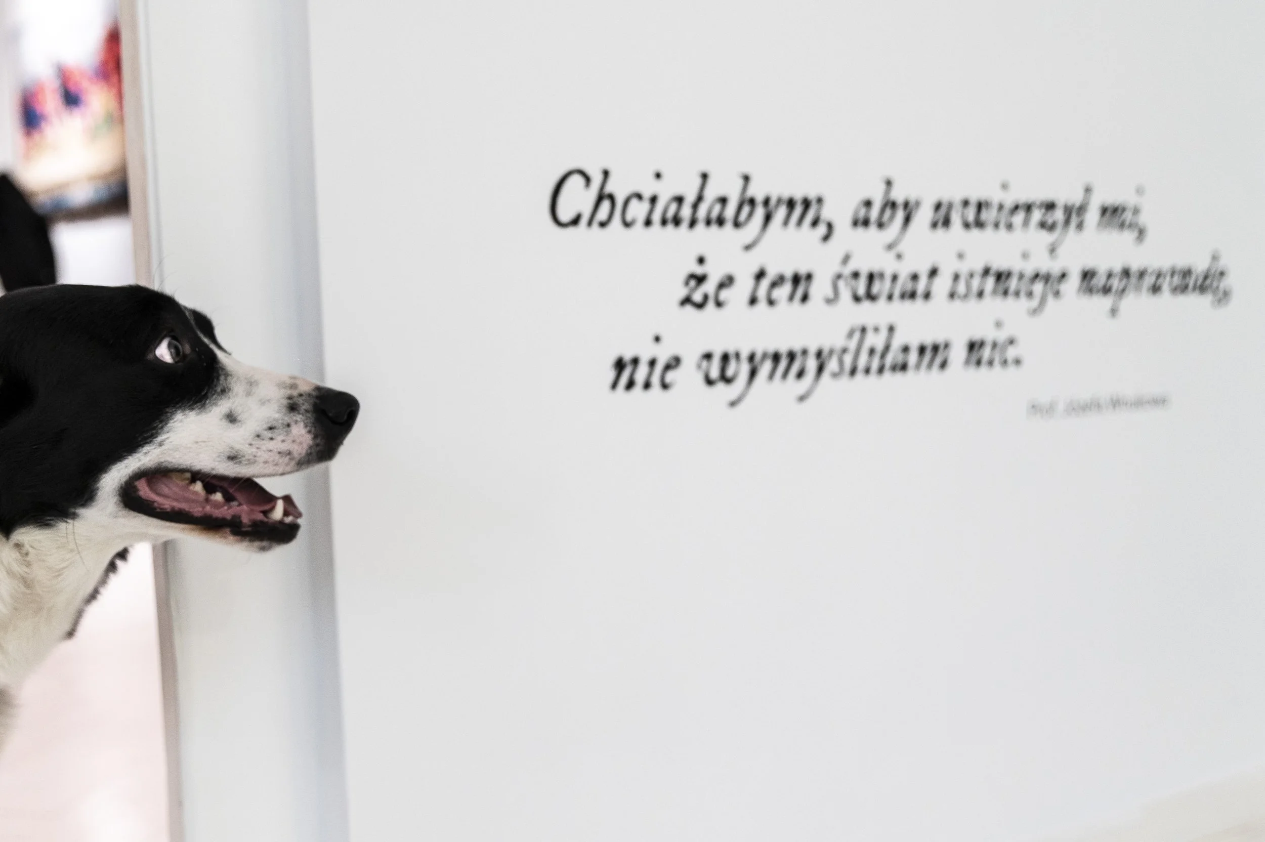 Wernisaz_24.04.2026_119.jpg