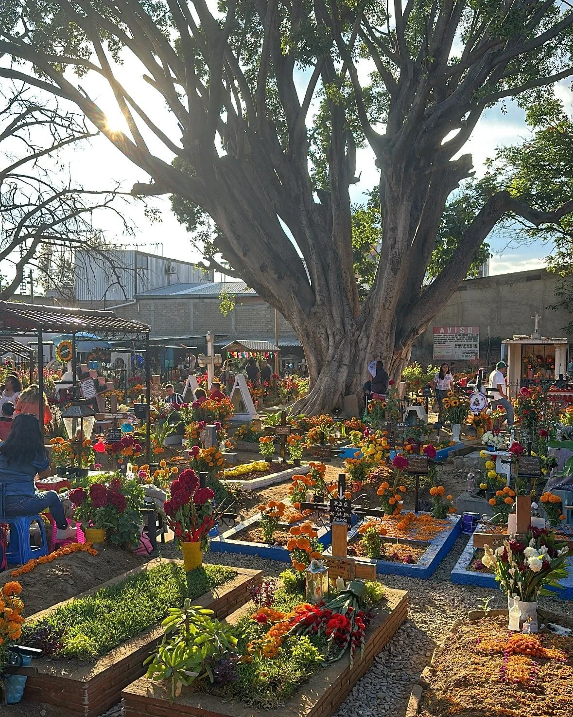 Dia-de-Los-Muertos-in-Mexico-1.JPG