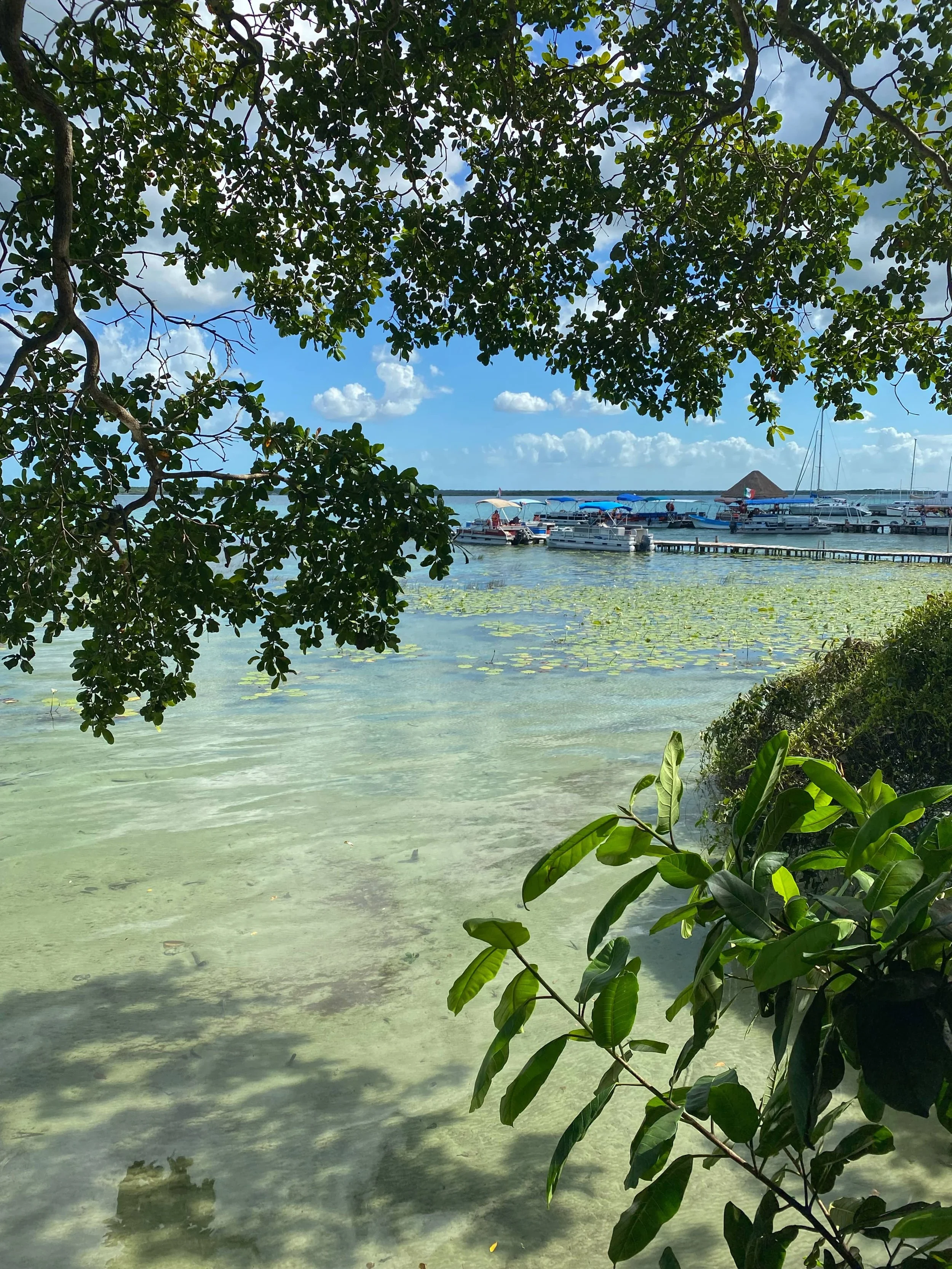 Bacalar-2.JPG