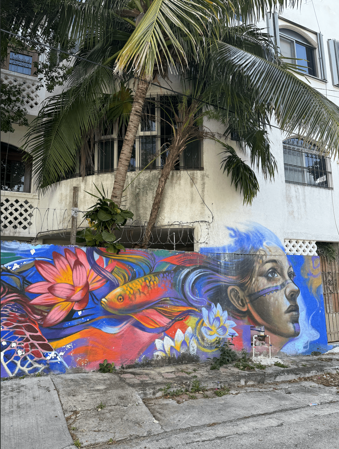 Colosio is known for its colorful murals